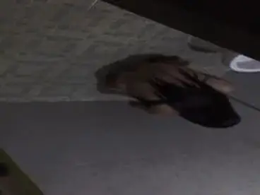 Dokumentasi Gadis Cantik Di Kamar Mandi Kasur